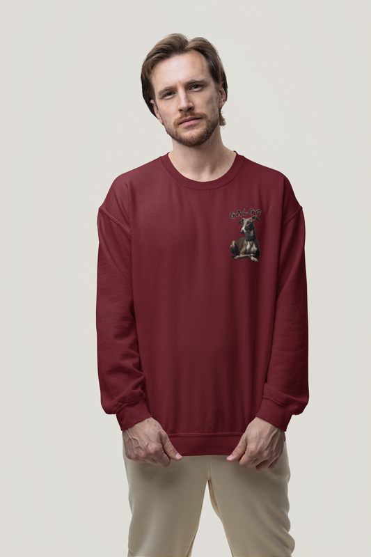 Galgo Espanol Sunset Run Beidseitiger Druck - Unisex Erwachsenen Bio Sweatshirt ST/ST SH - Changer Sweatshirt 2.0 ST/ST