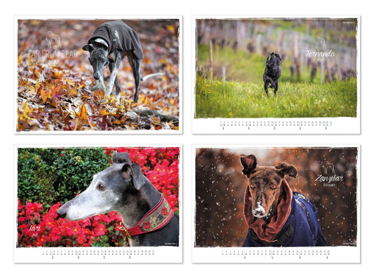 „Far from Fear“ – Wo Angst endet und Hoffnung beginnt