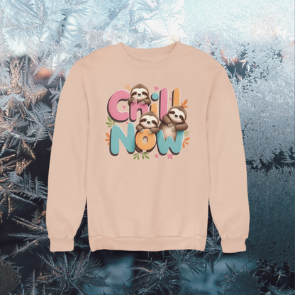 Sudadera infantil Chill Now Sloth de algodón orgánico de alta calidad y duradera - Sudadera Mini Changer 2 PCS/PCS SH